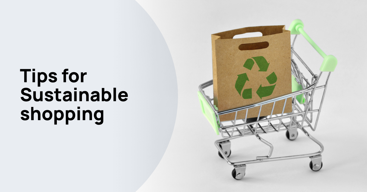 Eco-Friendly Shopping