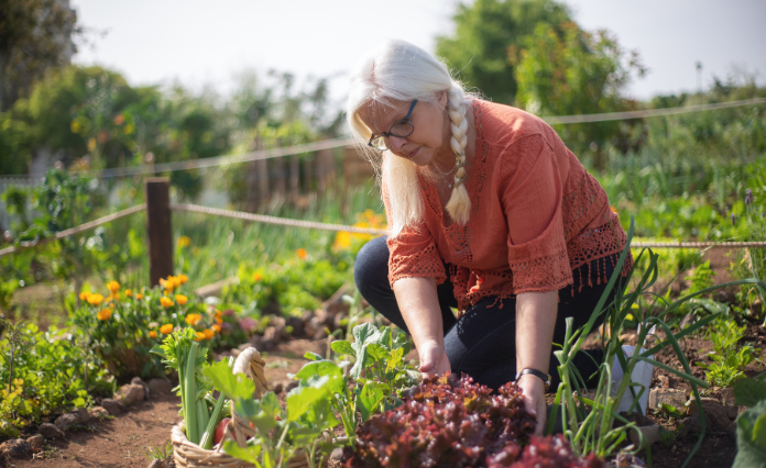 sustainable gardening is more than just a fad