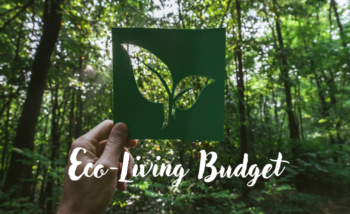 Eco-Living on a Budget: Yes, It’s Possible!