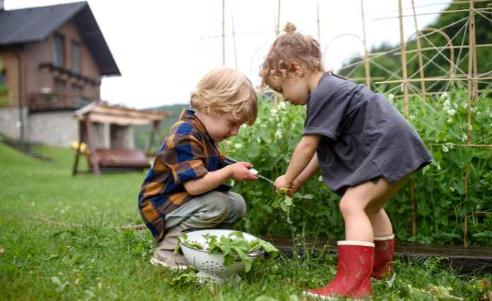 Build a Sustainable Garden in Your Backyard