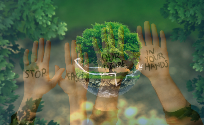 Protect Our Environment From Home Through Managing Solid Waste